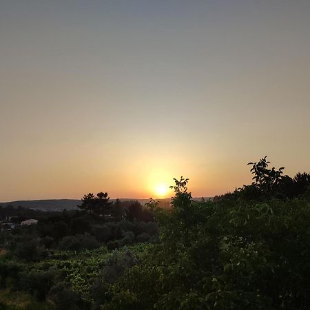 R3 - Guesthouse Travessa Da Arieira Aguda (Leiria) Ngoại thất bức ảnh