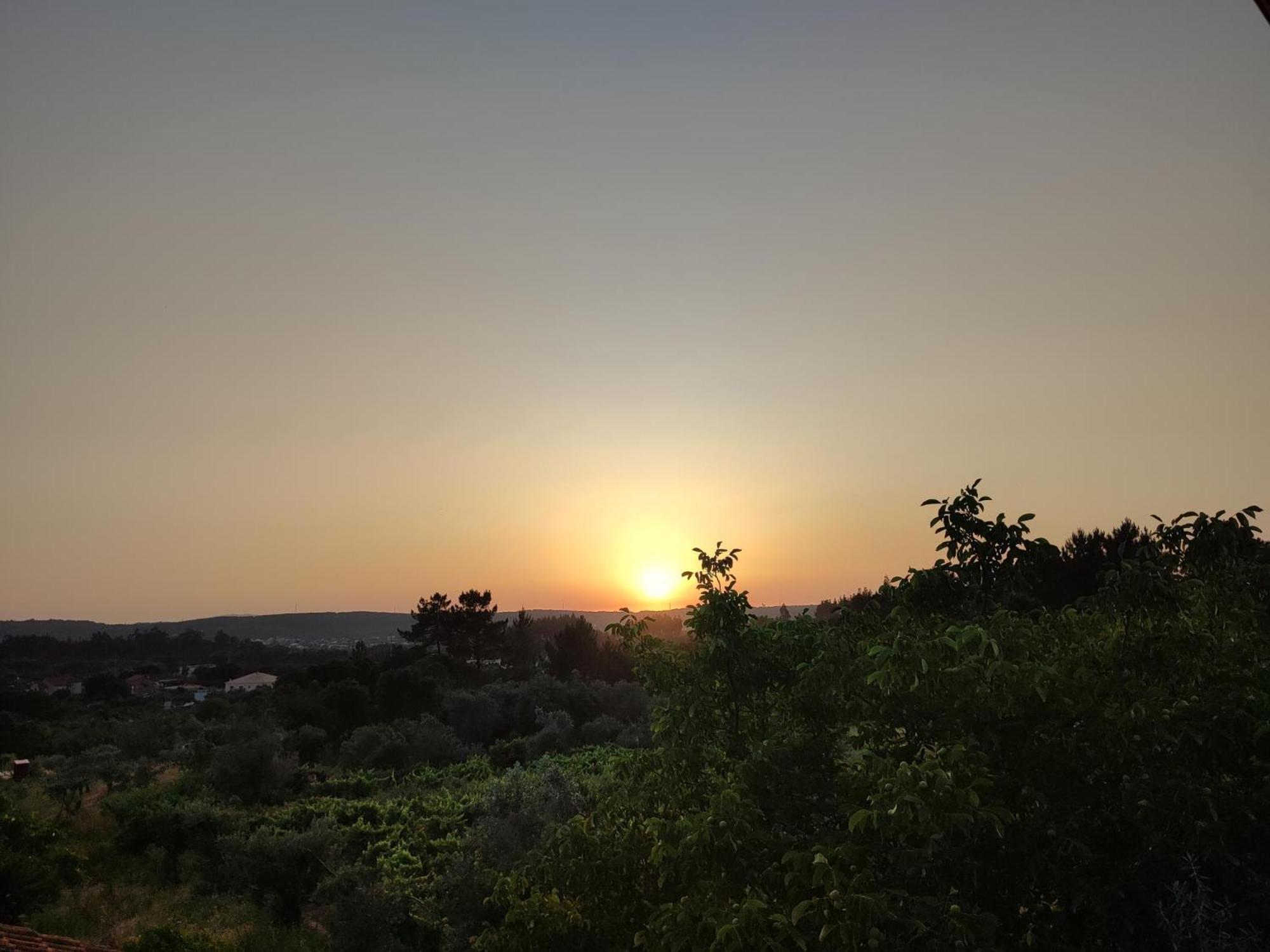 R3 - Guesthouse Travessa Da Arieira Aguda (Leiria) Ngoại thất bức ảnh